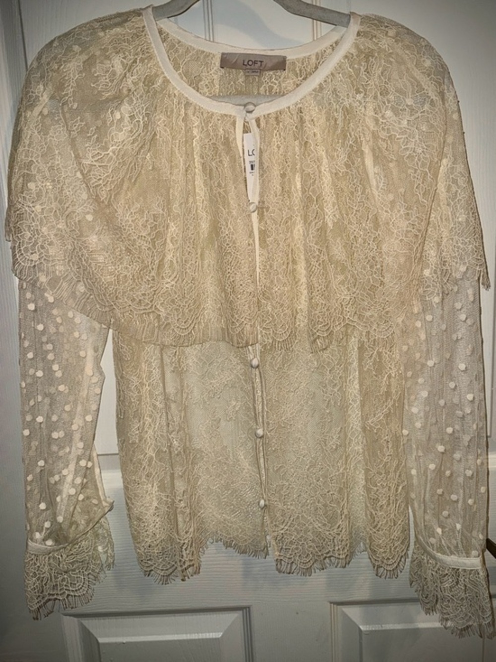 LOFT Cream Lace Button-Front Sheer Blouse